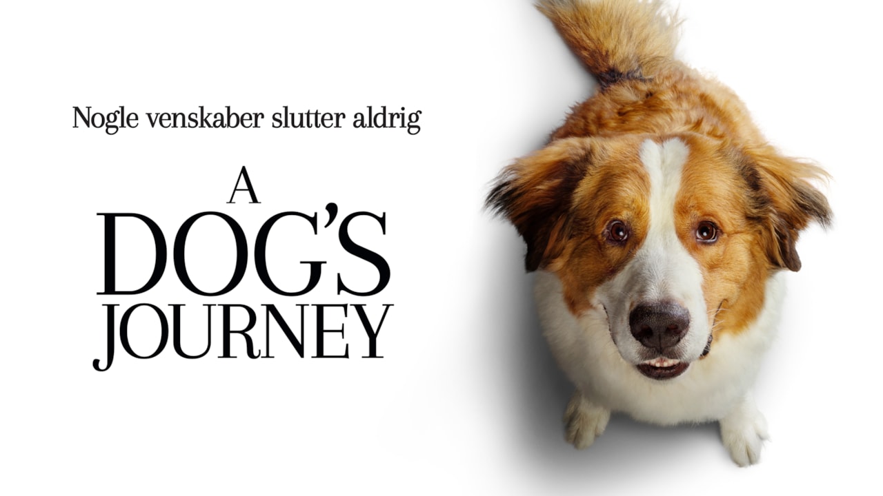 A Dog's Journey background